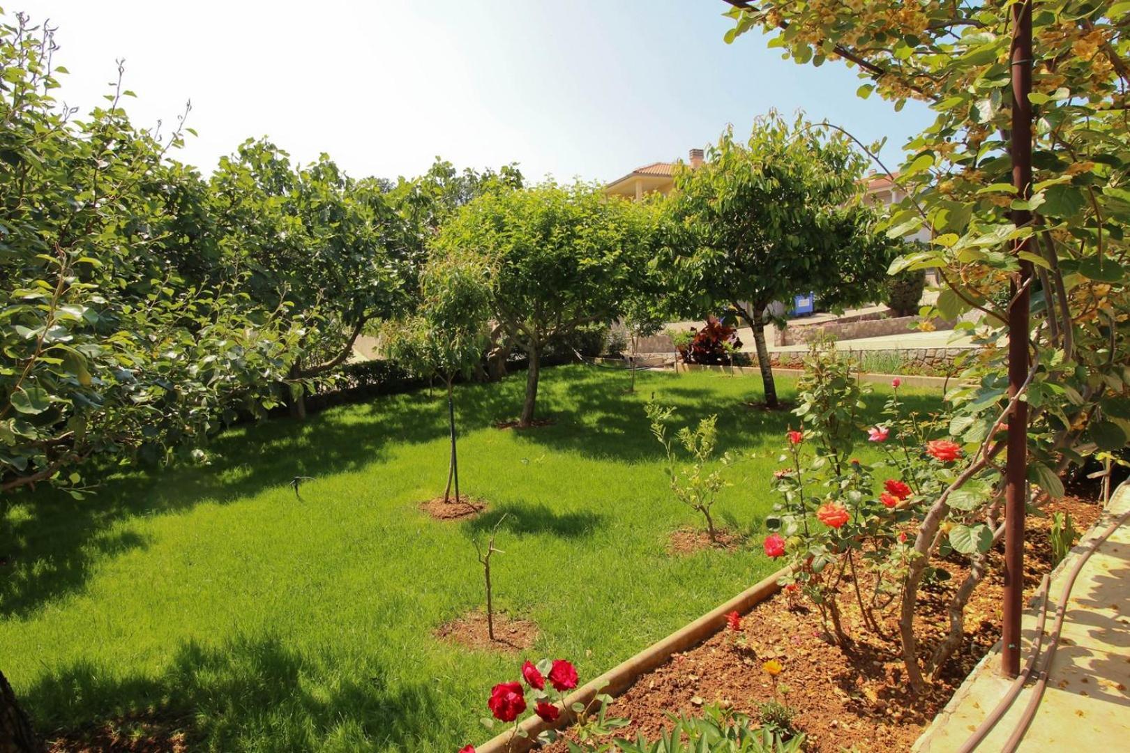 Apartments Nevenka K. Čižići Εξωτερικό φωτογραφία